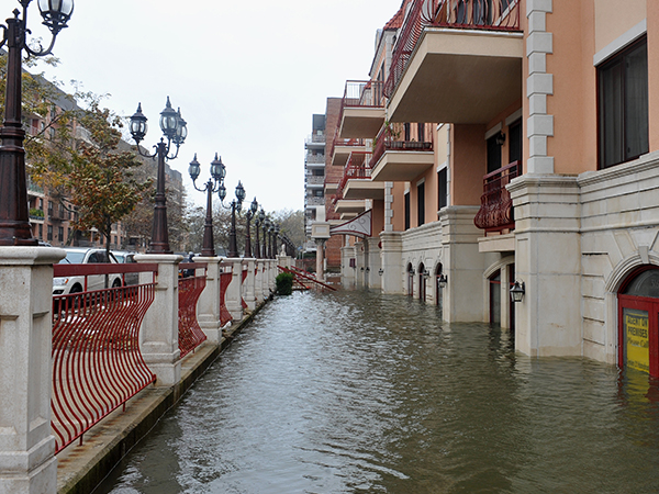 Covered Against Flood Damage